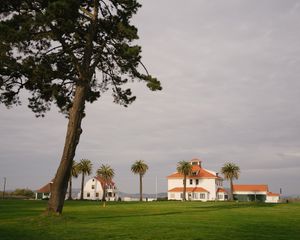 White church and buildings with red roofs stand near a large leaning pine tree.