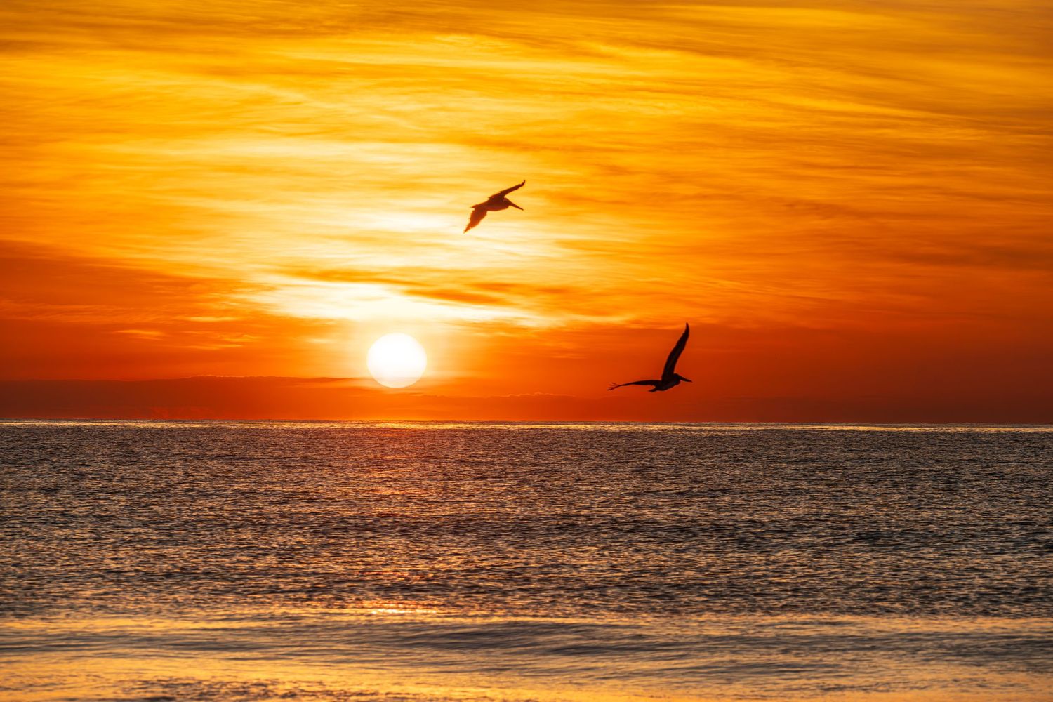 Two Pelicans soar over a calm ocean at sunrise with vibrant orange and golden sky reflecting on the water.