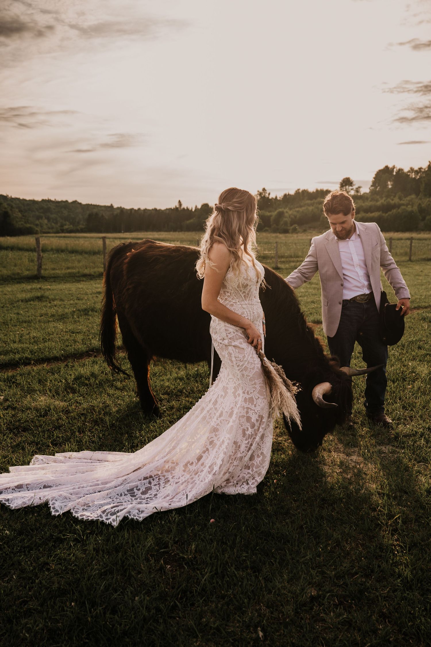 A couple shares a romantic moment with their horses in a sunlit pasture, bride wearing a flowing lace wedding gown.