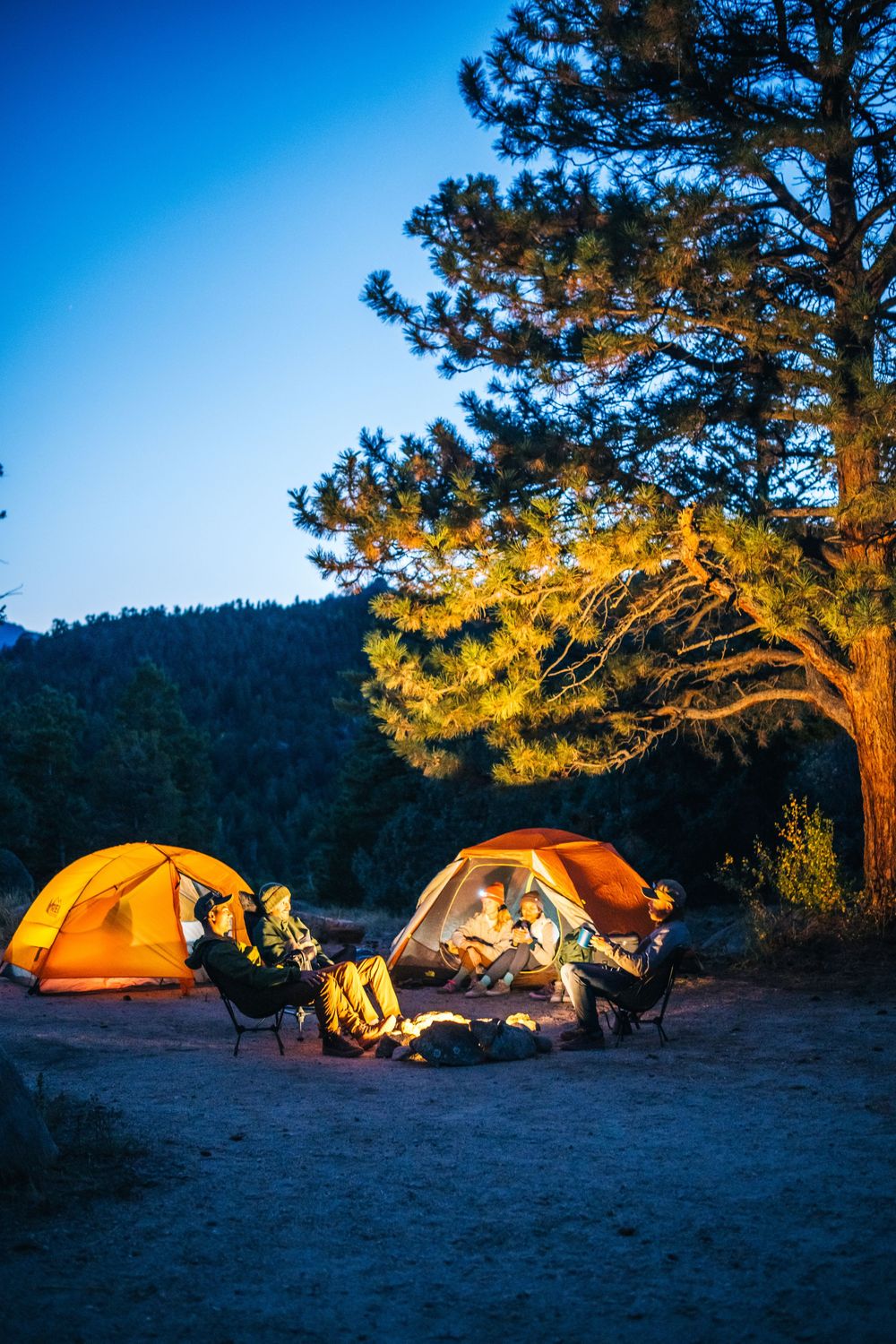 Orange camping tents glow warmly against darkening sky as sunset illuminates pine trees on a mountainside campsite.