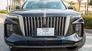 Front grille view of a luxury sedan showcasing distinctive chrome vertical slats design.