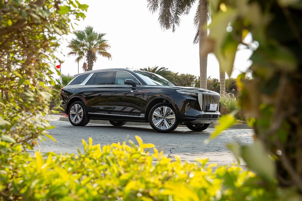 Sleek black luxury car parked against a scenic palm tree backdrop.