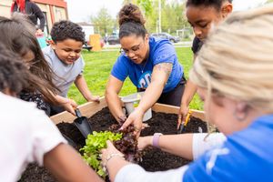 Students work together planting vegetables in a community garden during an outdoor learning activity.
