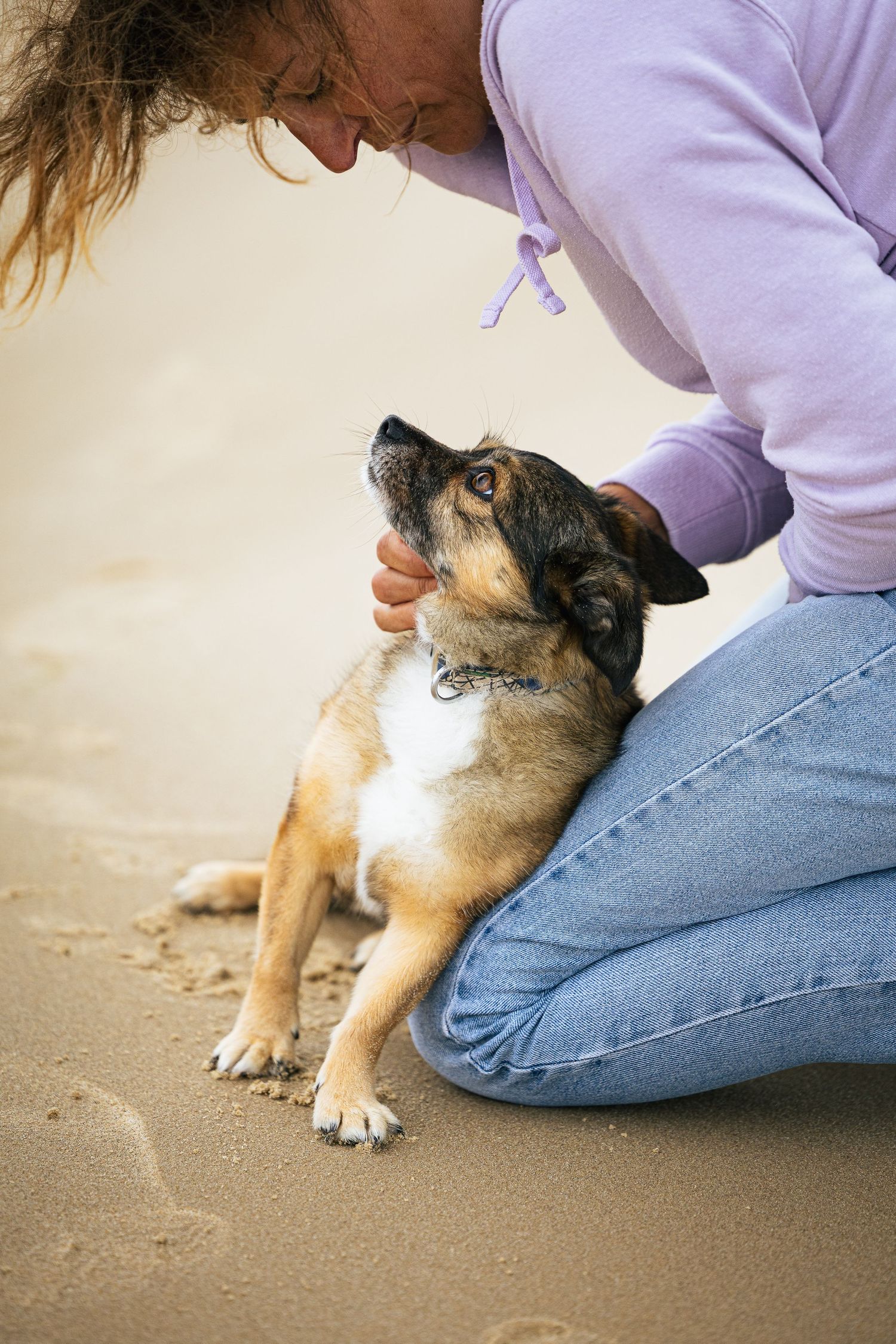 Petit chien dans les bras de sa propriétaire à la plage de Calais