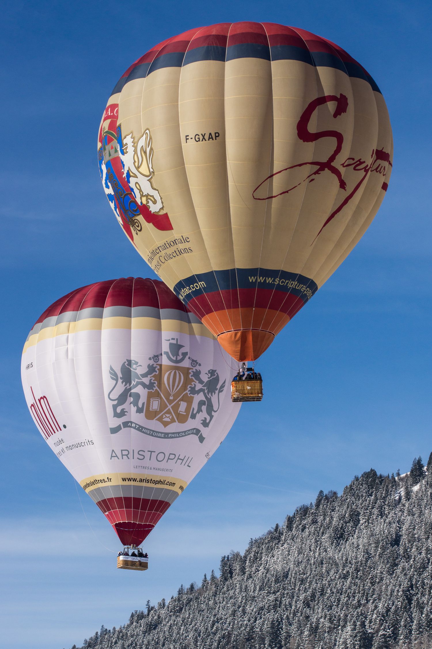 Colorful hot air balloons float against a blue sky above snow-covered mountains during a winter festival.