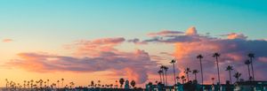 Silhouetted palm trees against a vibrant sunset sky with pink and orange clouds over a tropical landscape.