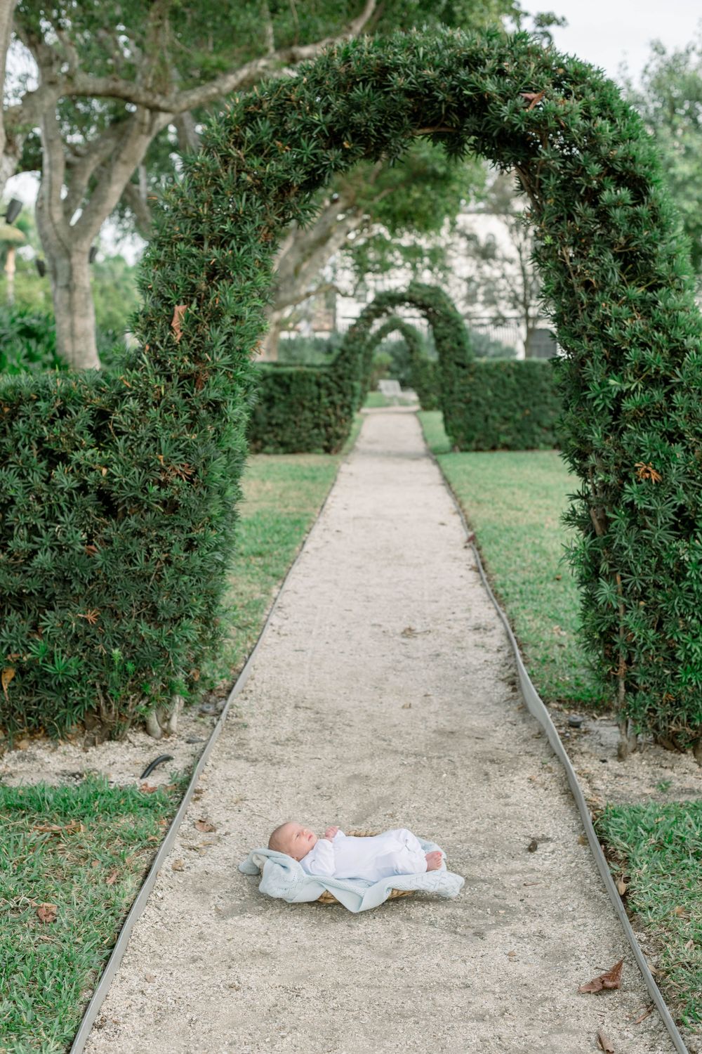 Baby lying peacefully on garden pathway surrounded by green hedges.