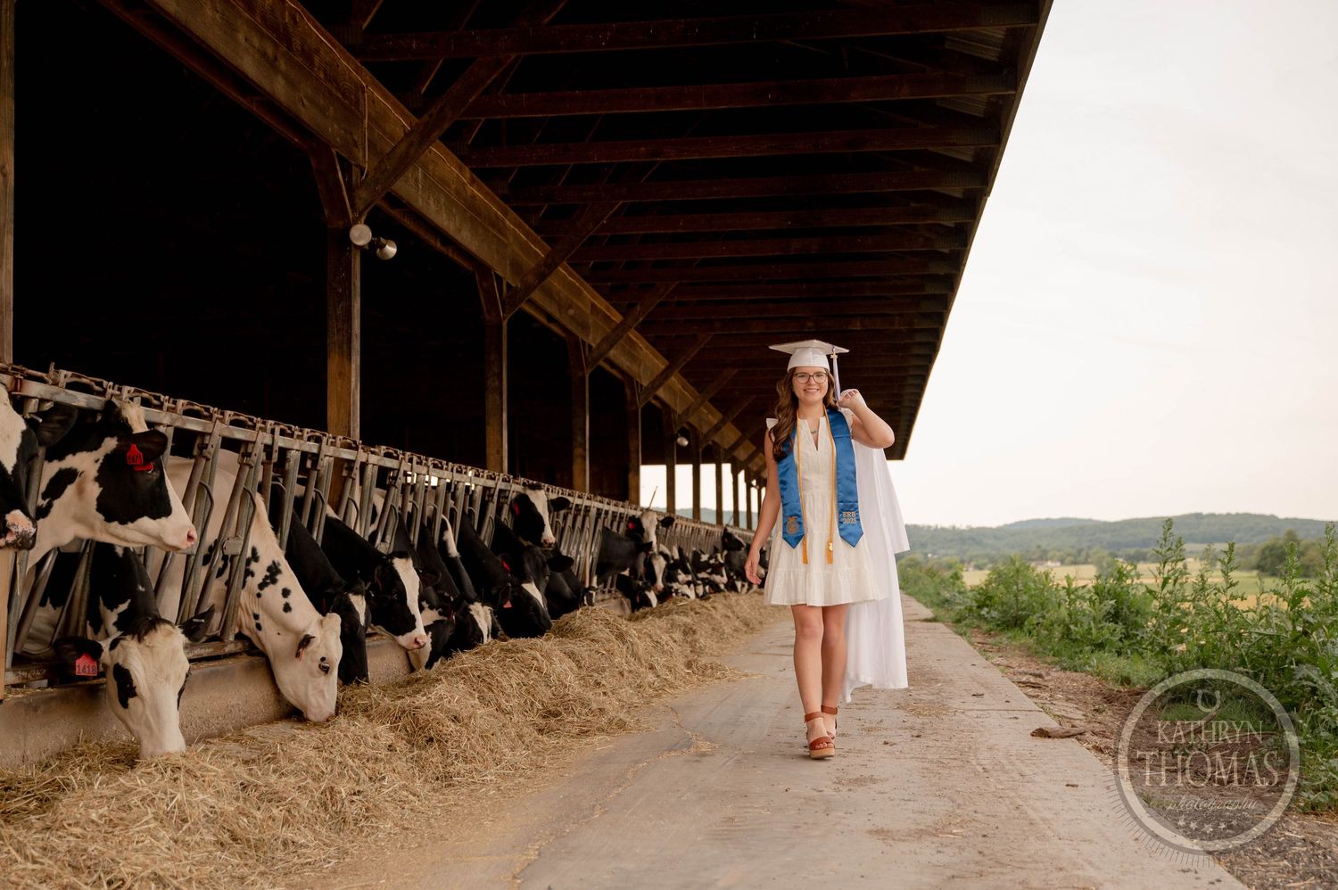 People walking through a dairy farm barn with Holstein cows eating at their stalls and green pastures visible outside.