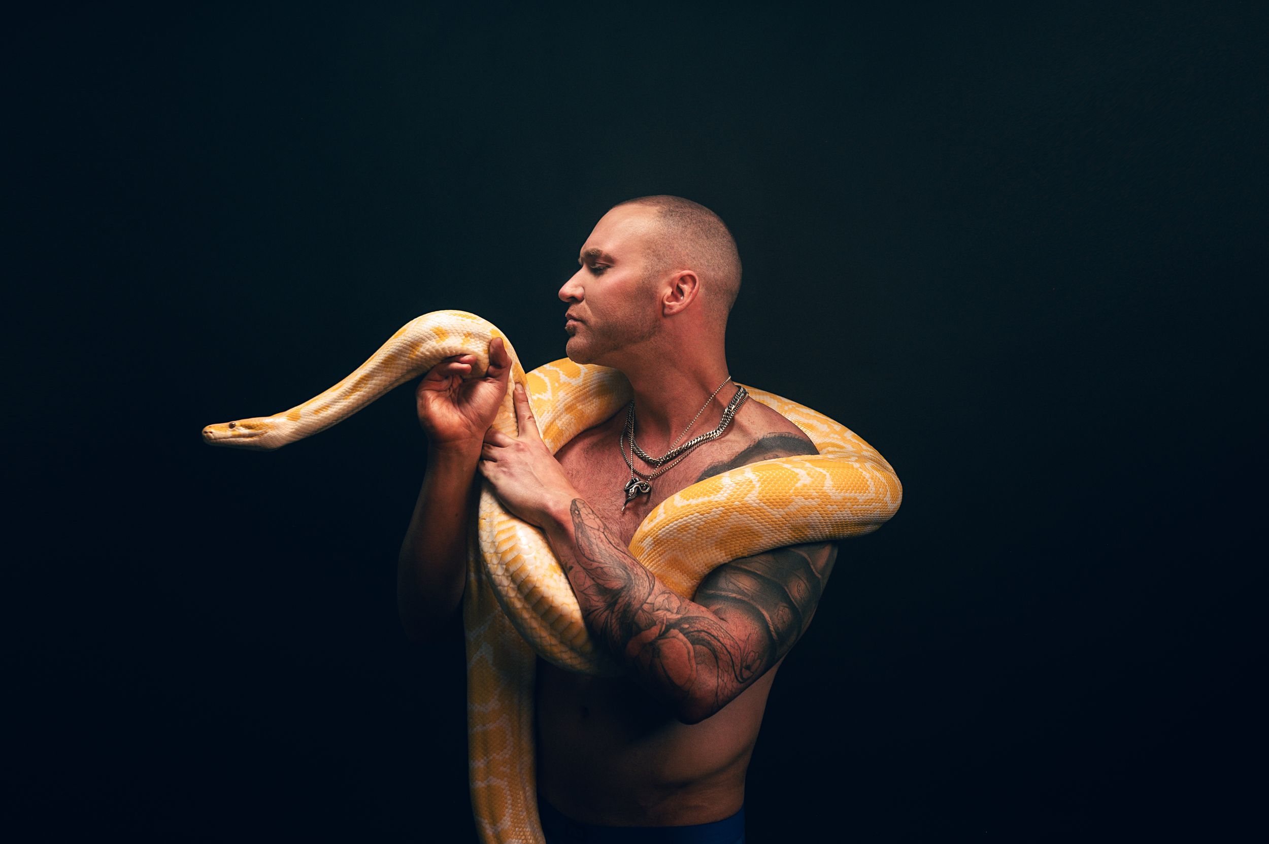 Tattooed shirtless man with albino Burmese python wrapped around his shoulders against dark studio background.