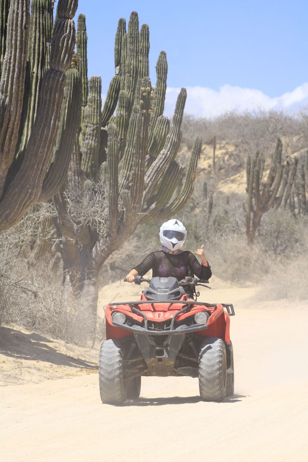 ATV rider kicking up dust while driving through desert landscape with tall cacti in background.