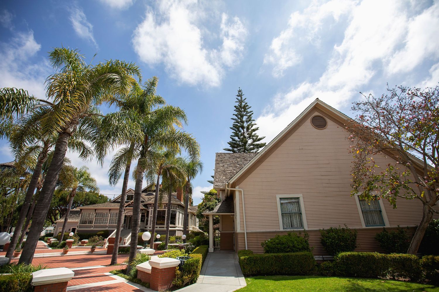 Palm tree-lined pathway leading to beige residential buildings under blue sky.