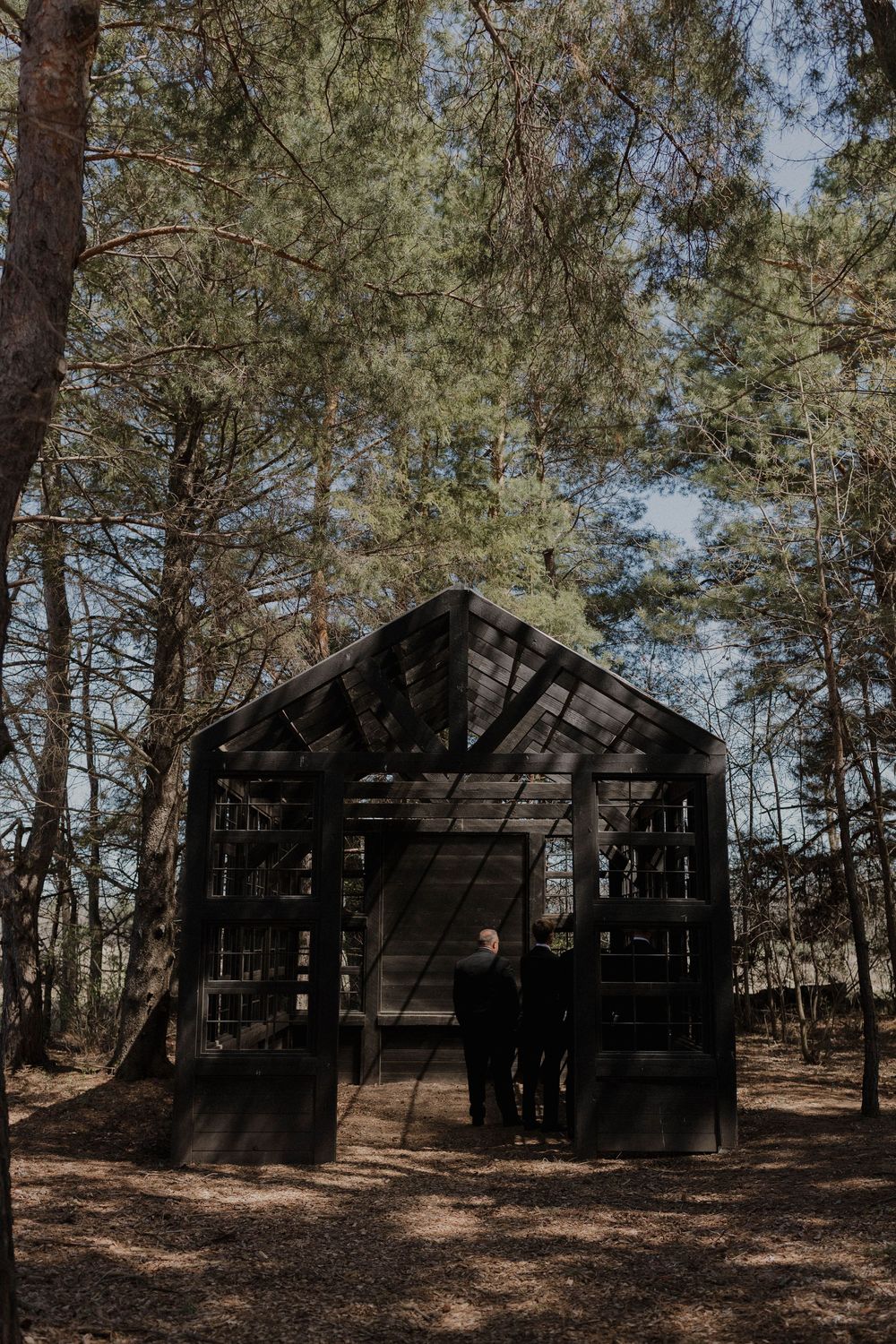 Row of dark wooden cabin structures nestled among tall pine trees in a forest setting.