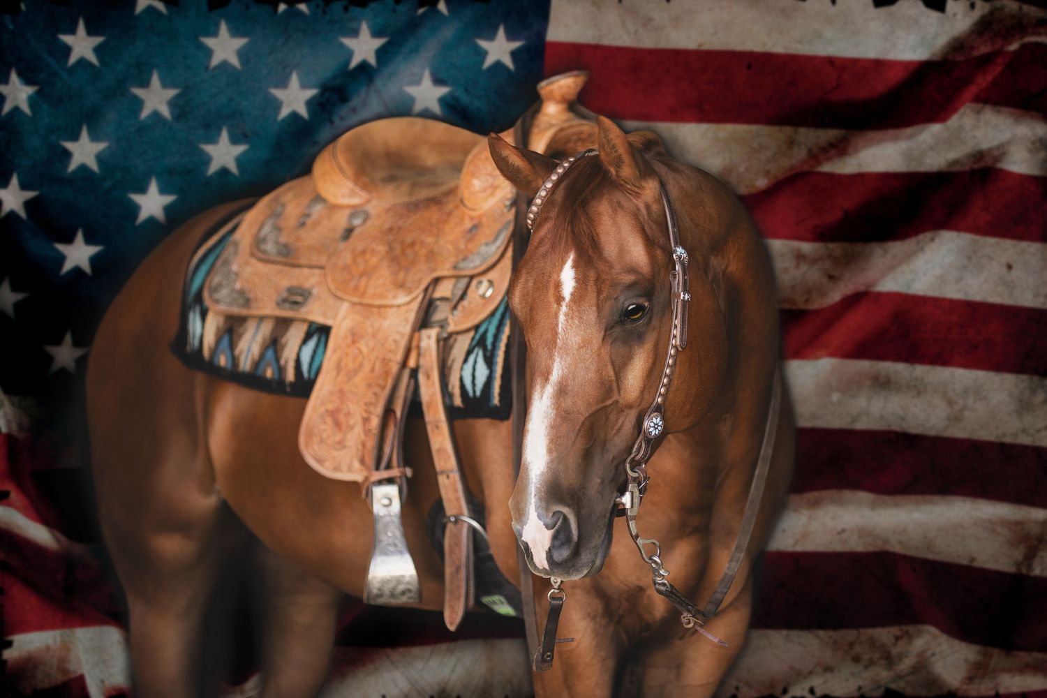 Horse with western saddle posed in front of American flag creating patriotic equestrian scene.
