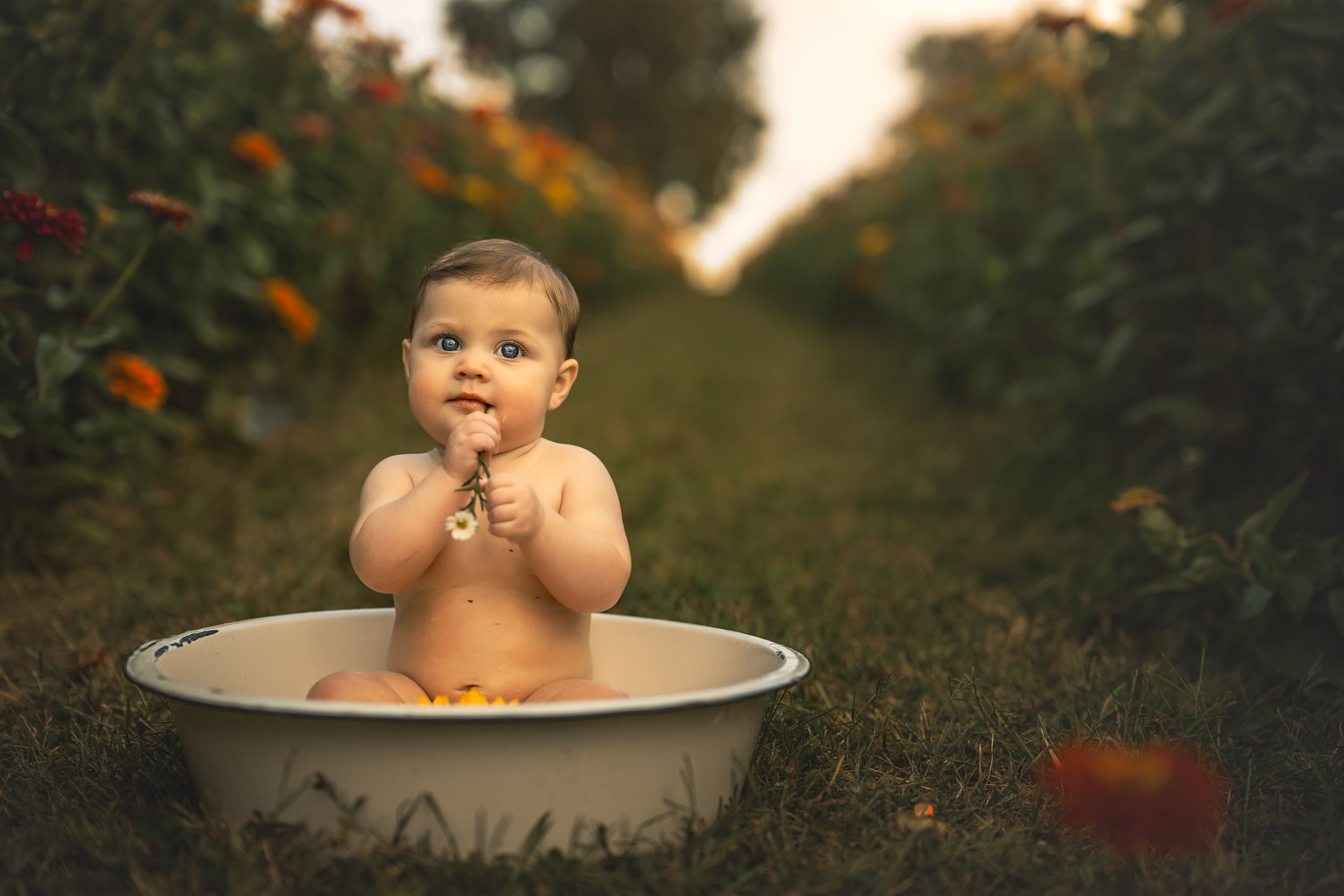 A cute baby sits in a white basin outdoors in an orchard, clapping hands and surrounded by colorful flowers.