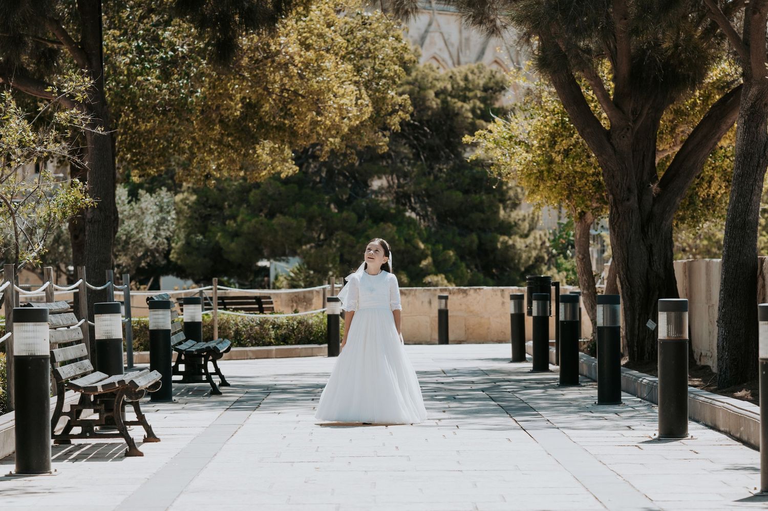 Tree-lined pathway with benches and dappled sunlight creating a peaceful outdoor setting.