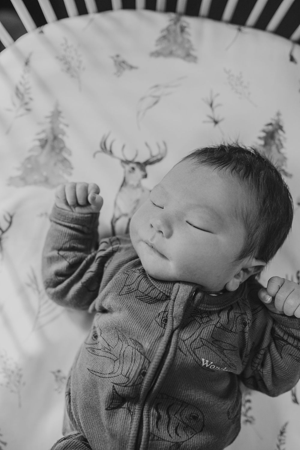 Fresh 48 Waikato Photographer, Waikato Newborn Photographer, Hamilton Newborn Photographer, Te Awamutu Newborn Photographer