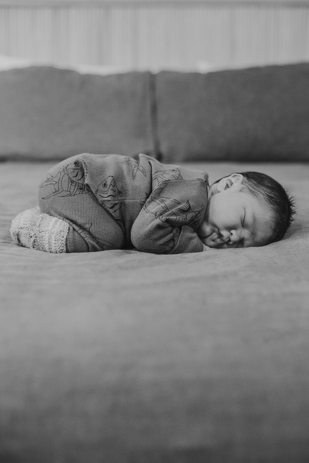 Fresh 48 Waikato Photographer, Waikato Newborn Photographer, Hamilton Newborn Photographer, Te Awamutu Newborn Photographer