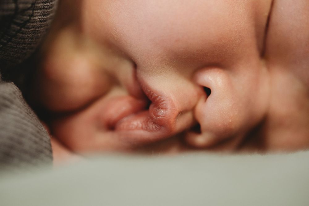Fresh 48 Waikato Photographer, Waikato Newborn Photographer, Hamilton Newborn Photographer, Te Awamutu Newborn Photographer
