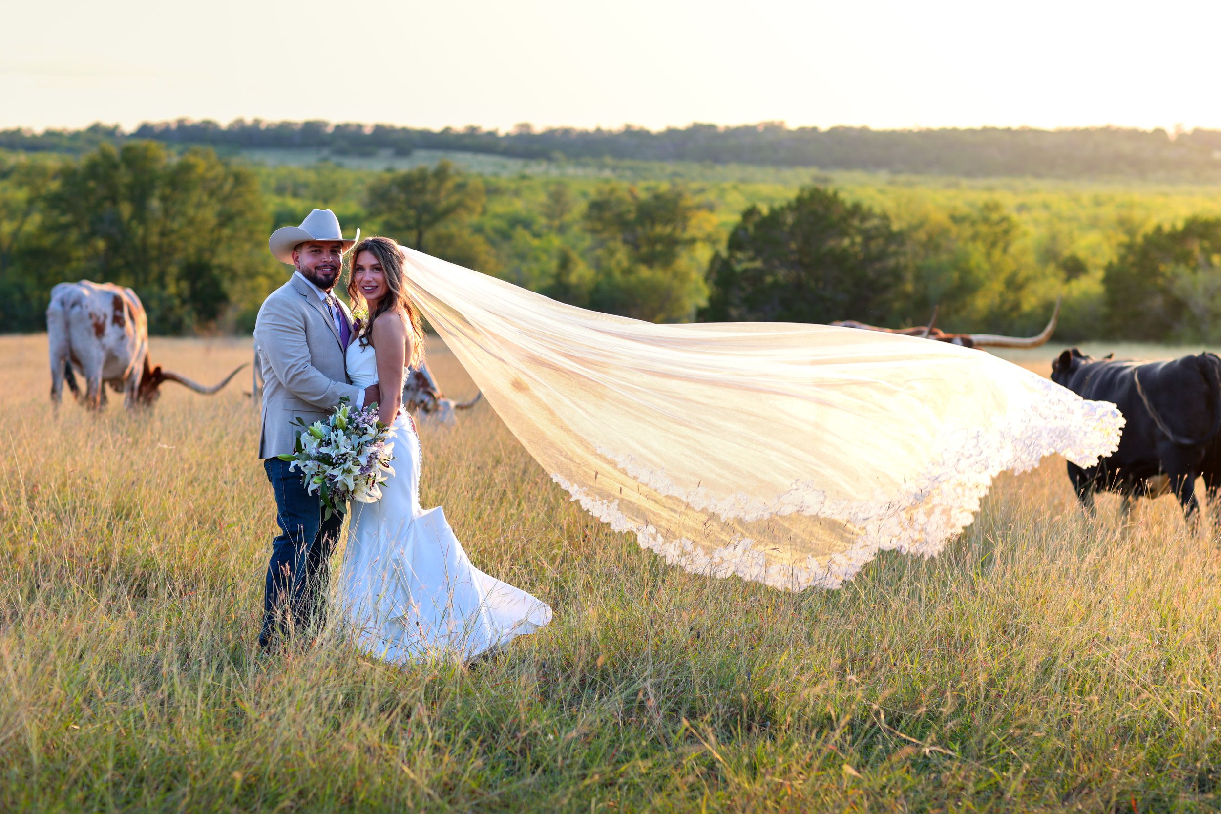 A wedding couple poses in a golden sunlit meadow as the bride's veil flows dramatically in the wind.