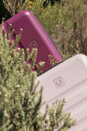 Close-up of purple and pink luggage pieces with brand logo among desert vegetation.