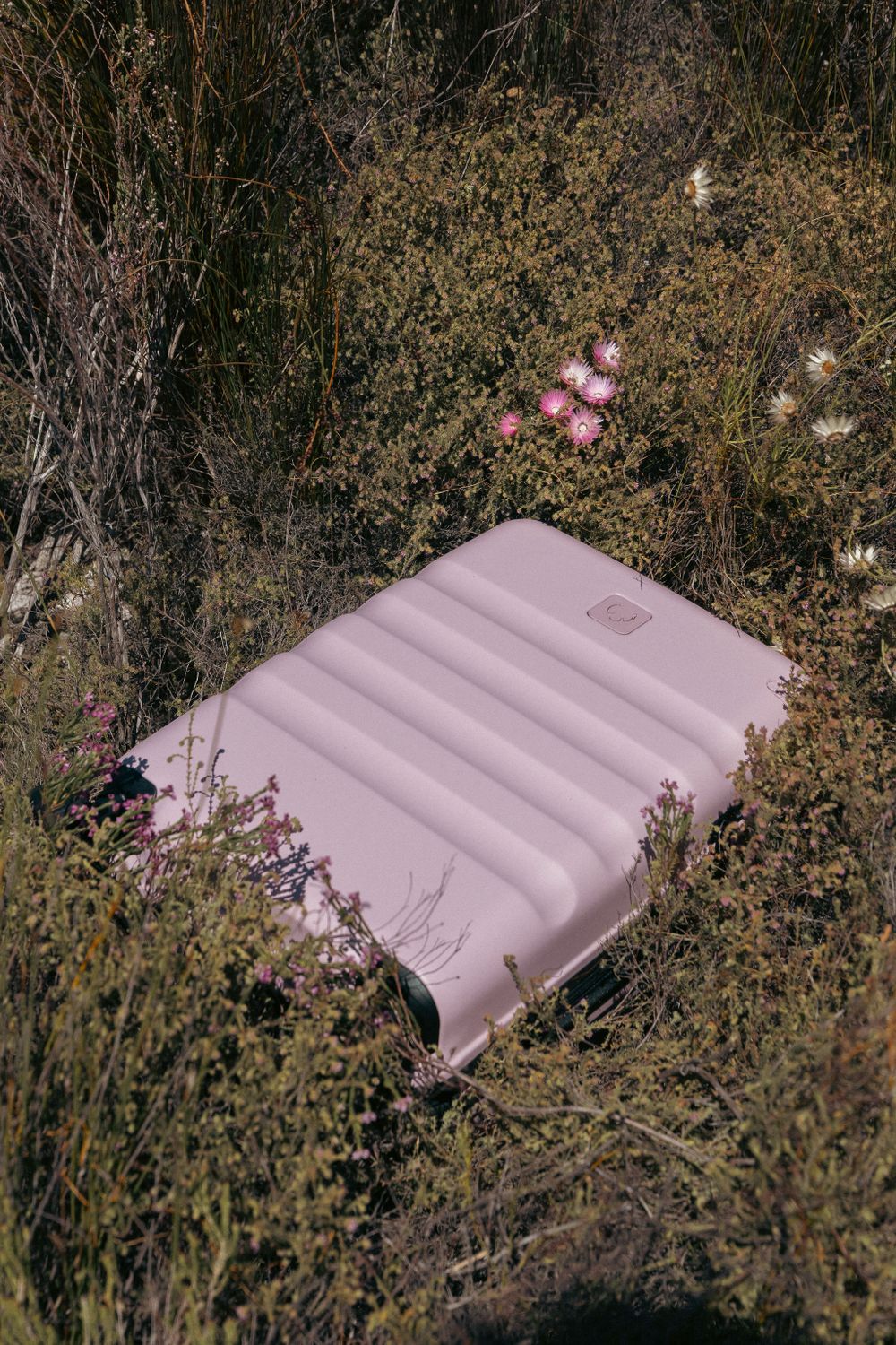 Pink inflatable mattress nestled among wildflowers in natural outdoor setting.