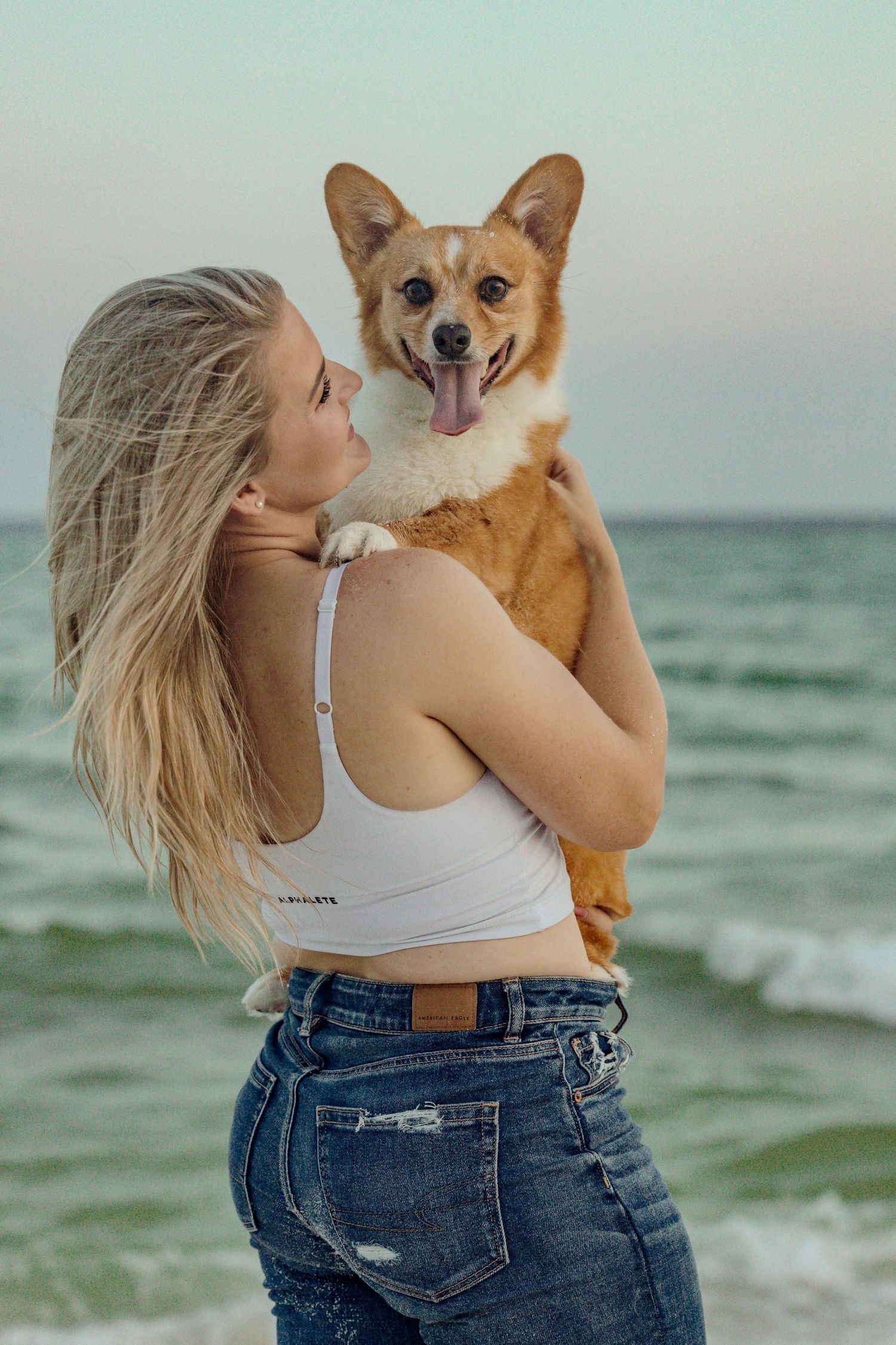 Happy Corgi dog with tongue out being held at the beach.