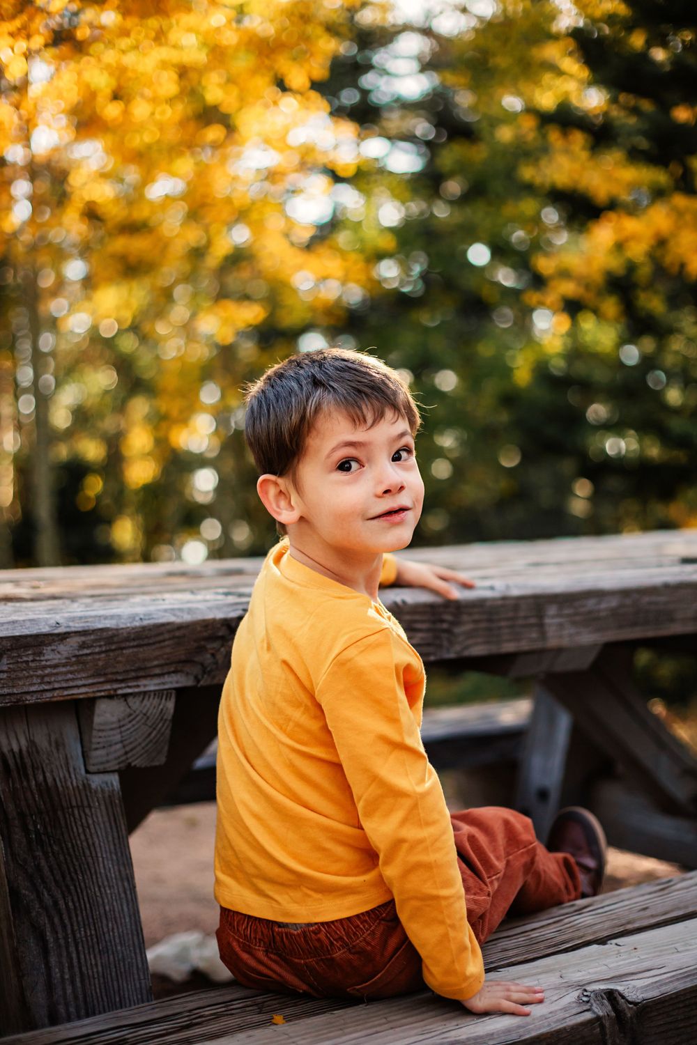 Child in yellow sweater sitting on wooden bench with autumn colors in background.