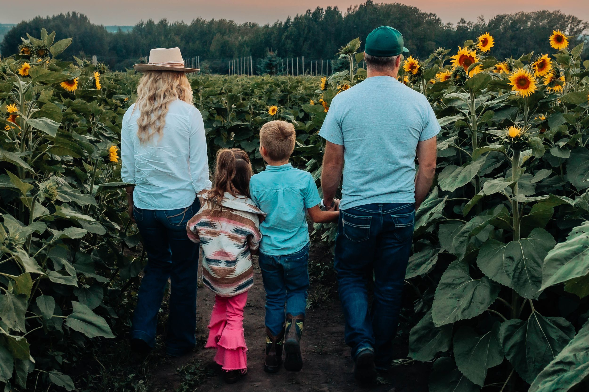 Family walks through sunflower field at sunset holding hands.
