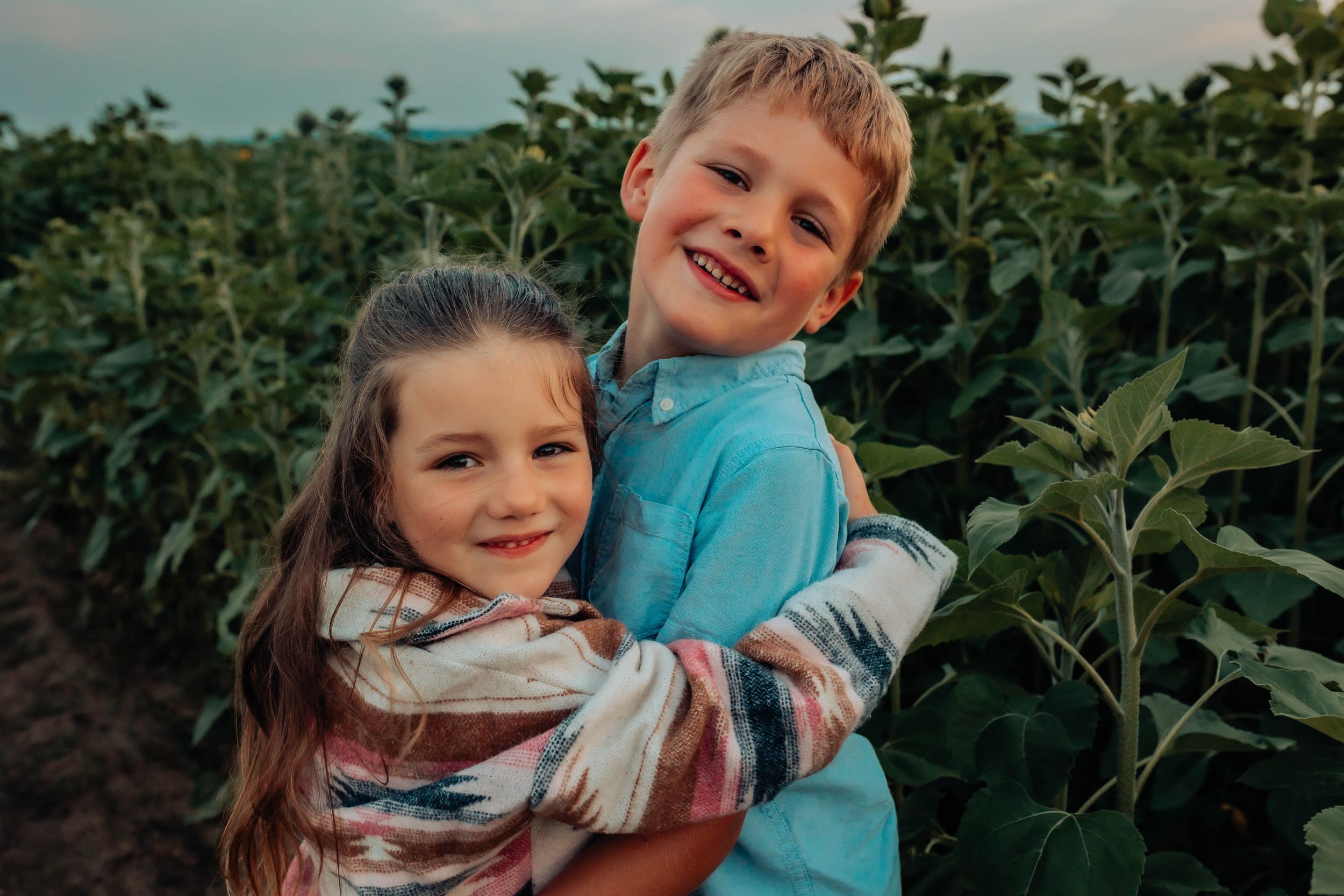 Natural family portraits taken among tall sunflowers during evening photoshoot.