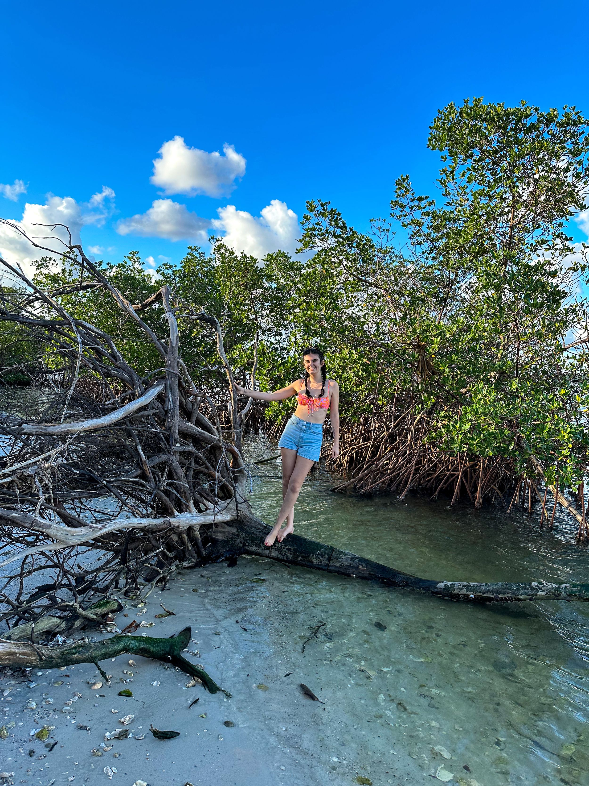 a photo of Brenna in some mangroves in Florida