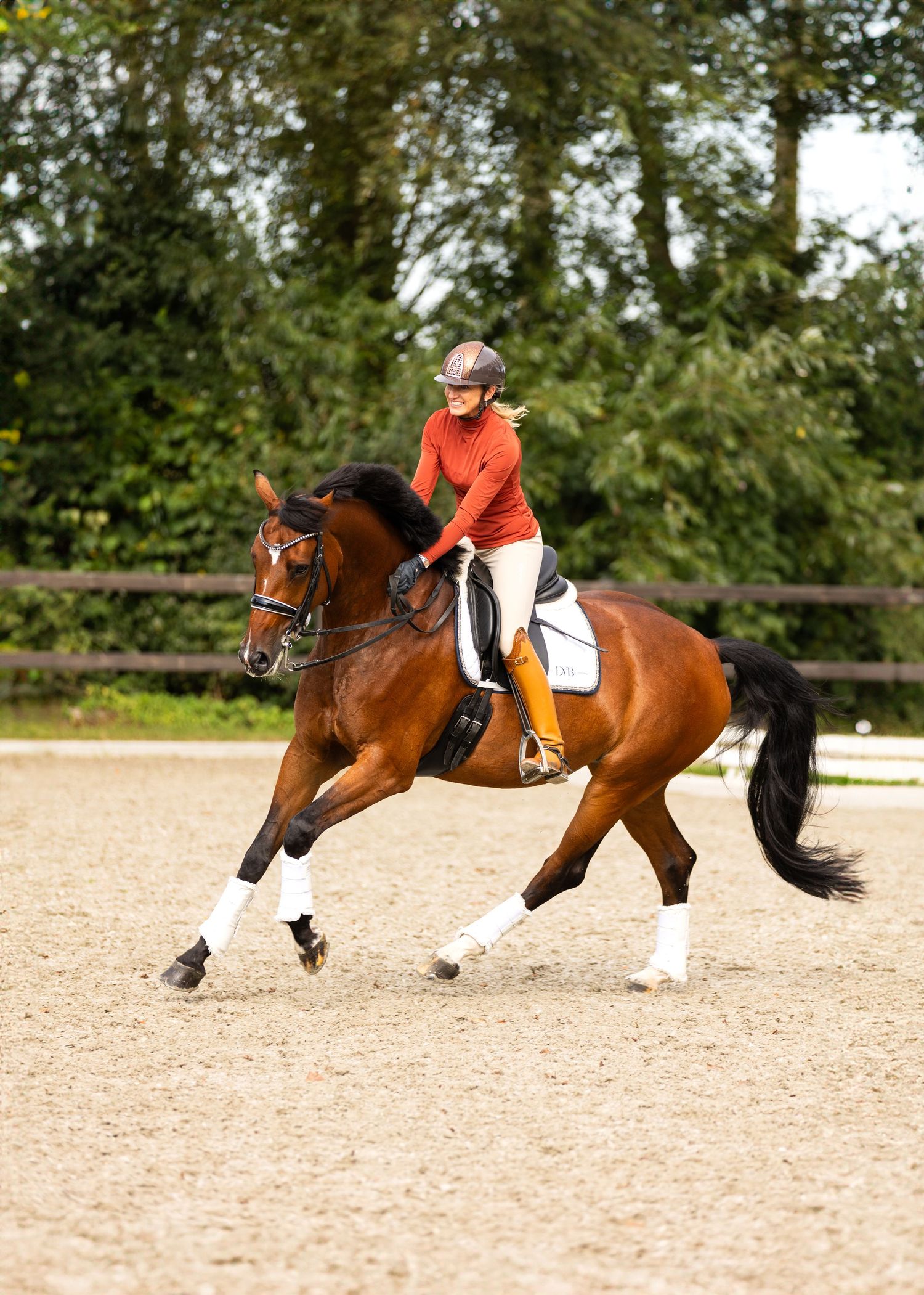 Professioneel paardenfotograaf