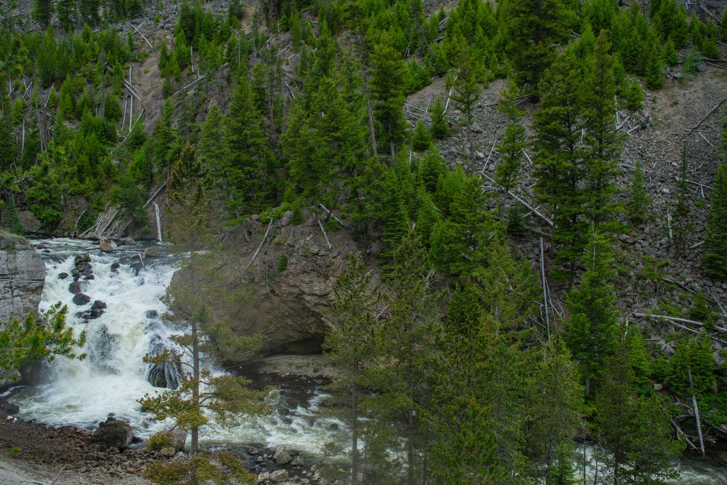 Rushing waterfall flowing through rocky terrain amid pine forest in mountainous landscape.