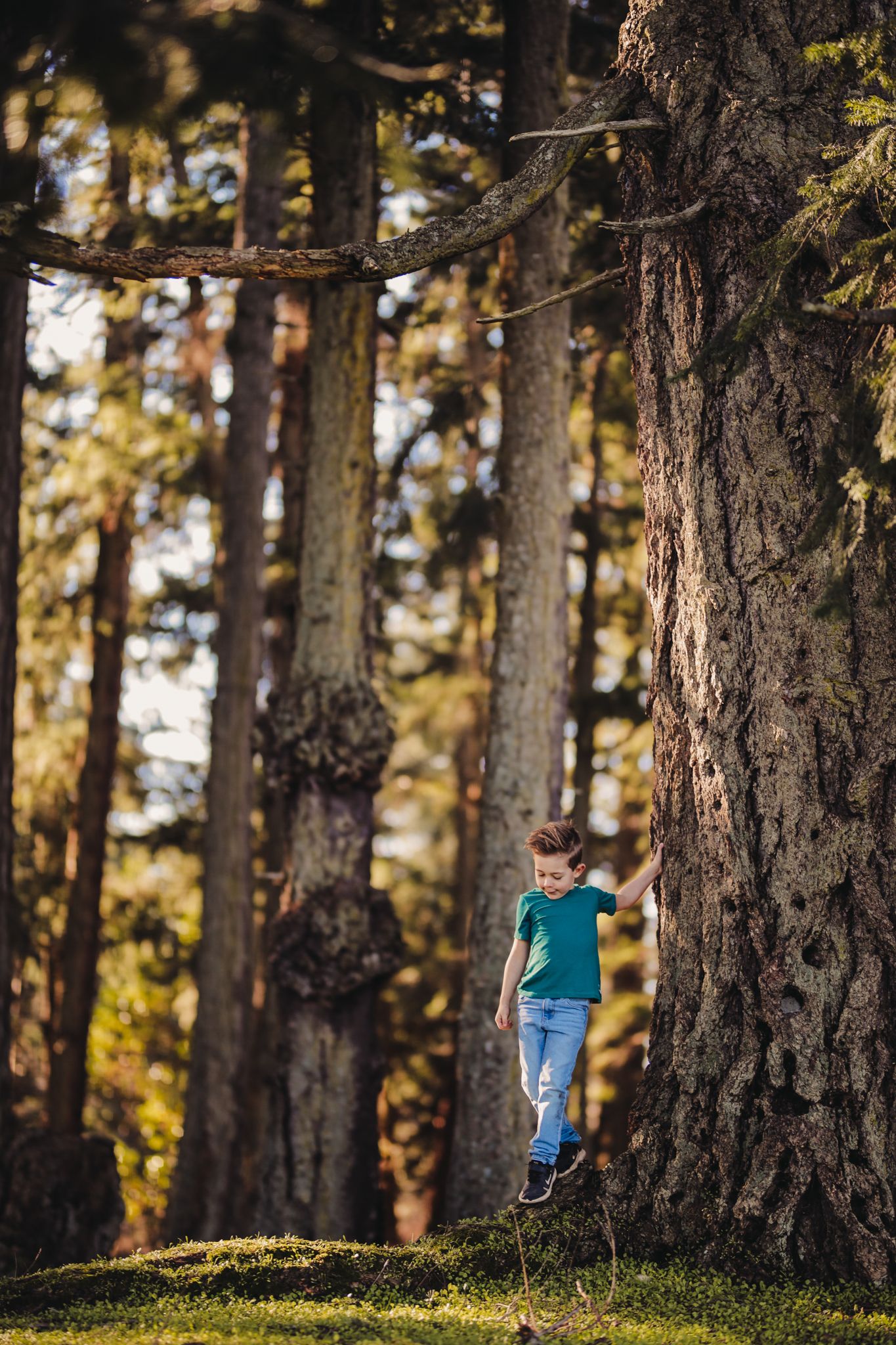 Parksville Photographer, Parksville Family Photographer, Parksville, Family Photographer, Nanaimo Photographer,