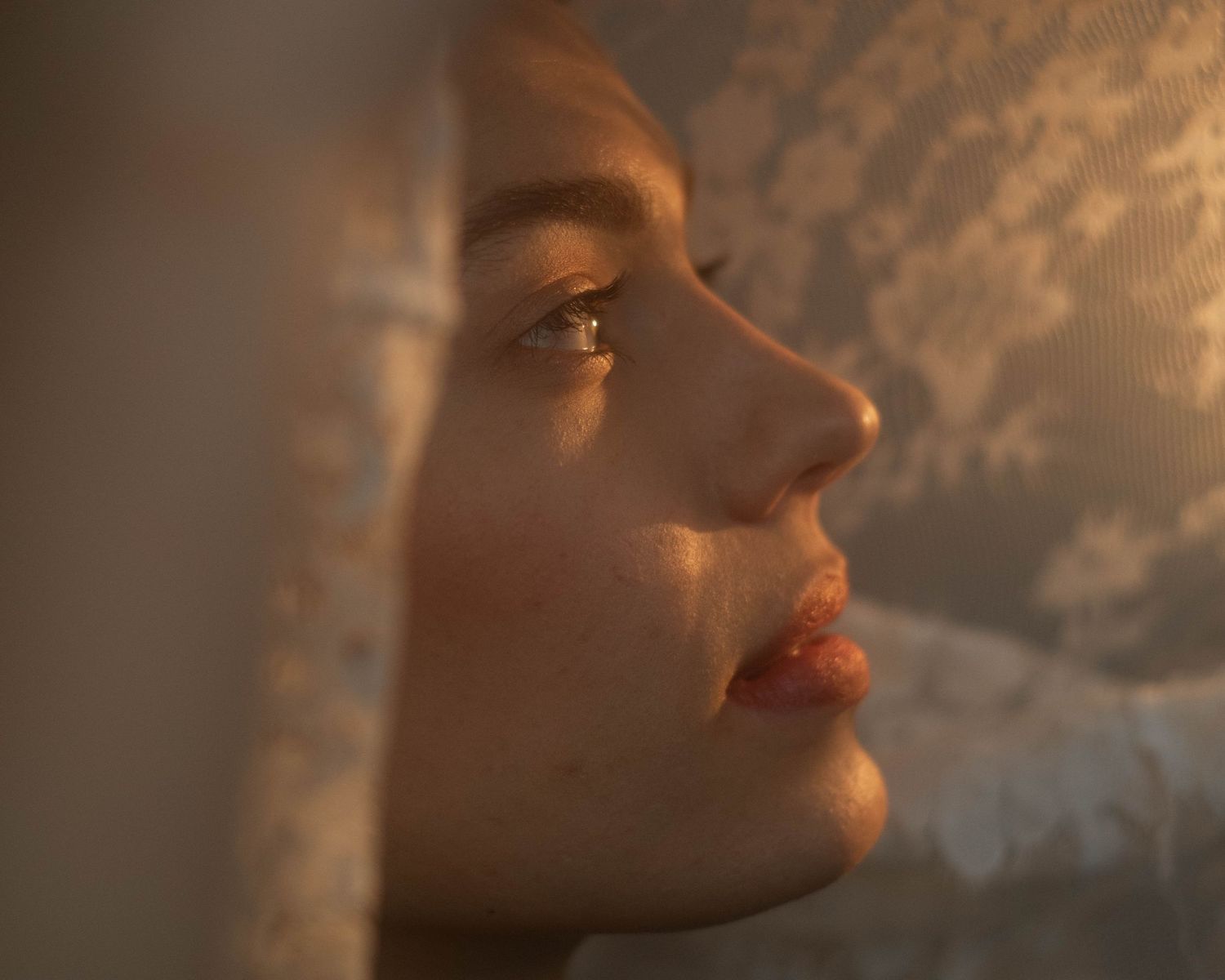 Artistic close-up portrait sequence in warm golden lighting showing profile views.