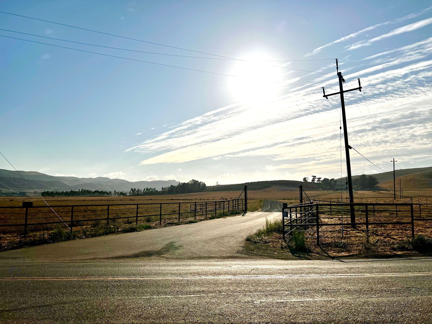 deserted road along a field at golden hour
