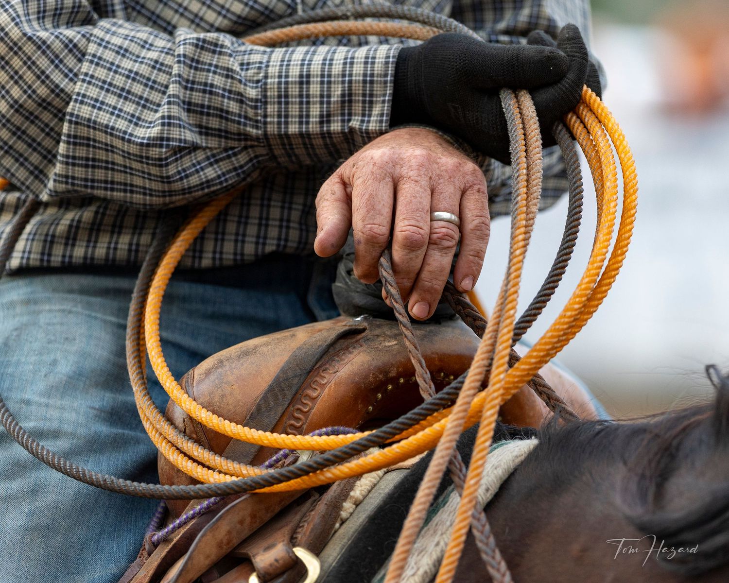 Cowboy hands holding an orange lasso rope while seated on a horse, wearing a plaid shirt and jeans.