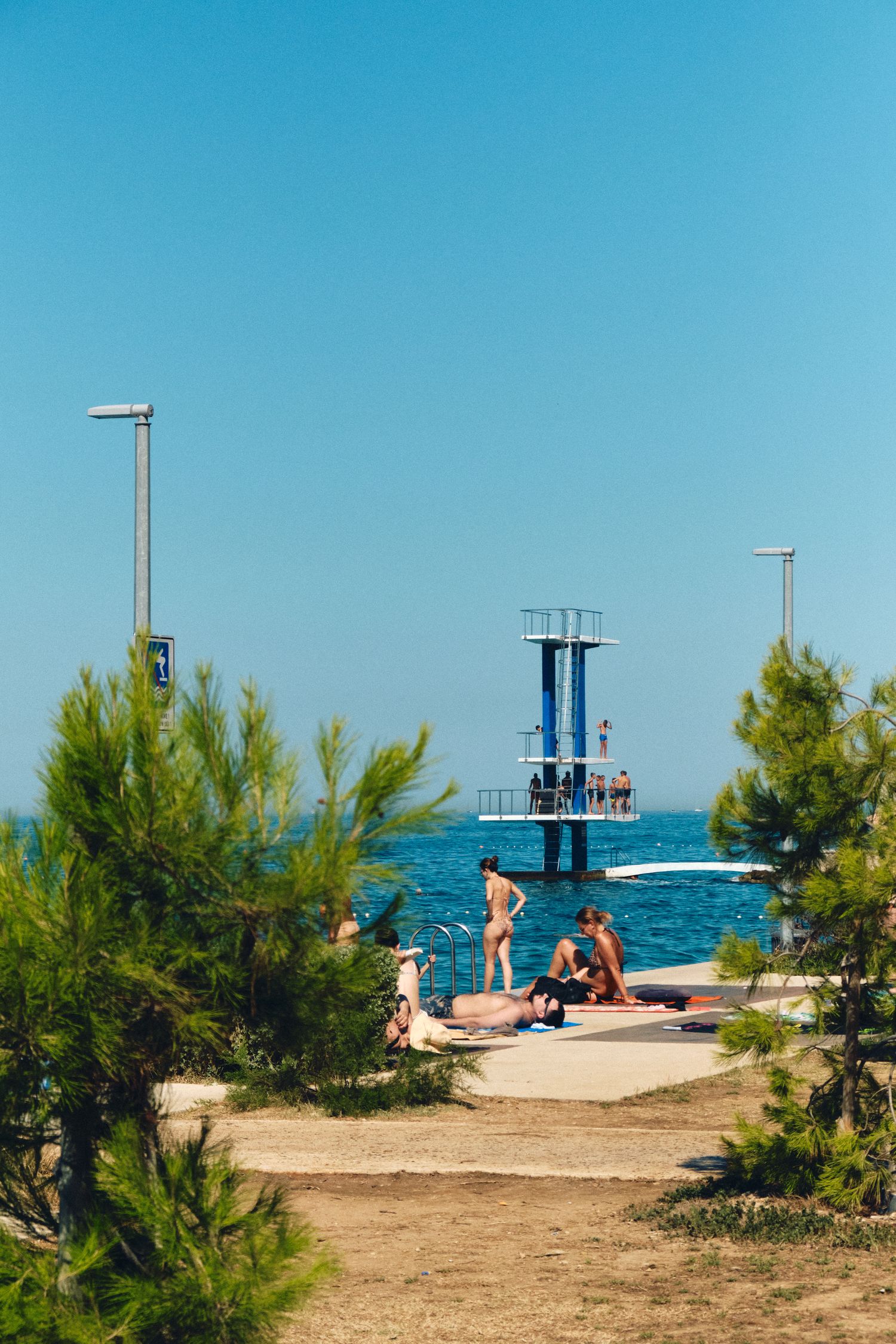 Blue diving platform structure on the coast with pine trees framing the ocean view.