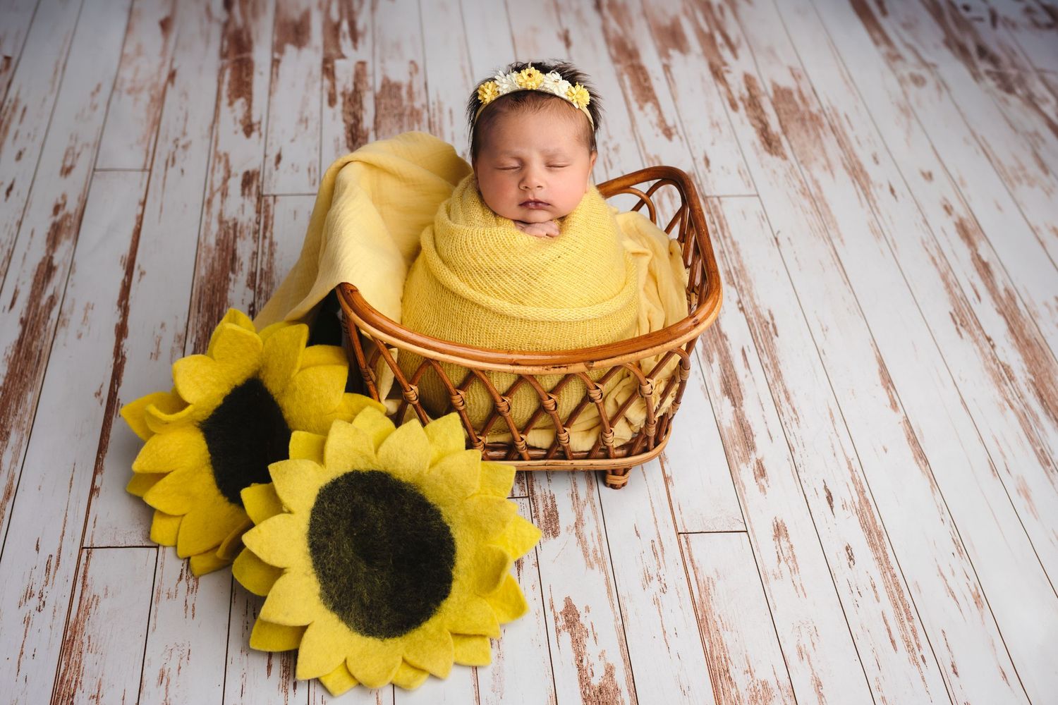 Charlottesville photographer, newborn, family, maternity, baby in basket with sunflowers