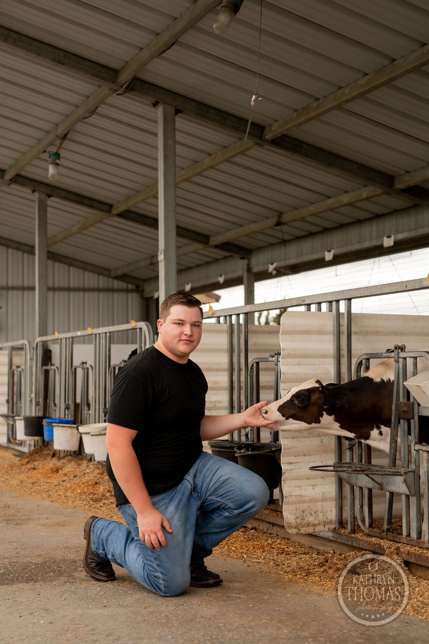 Someone kneels beside a Holstein dairy cow in a modern barn facility.