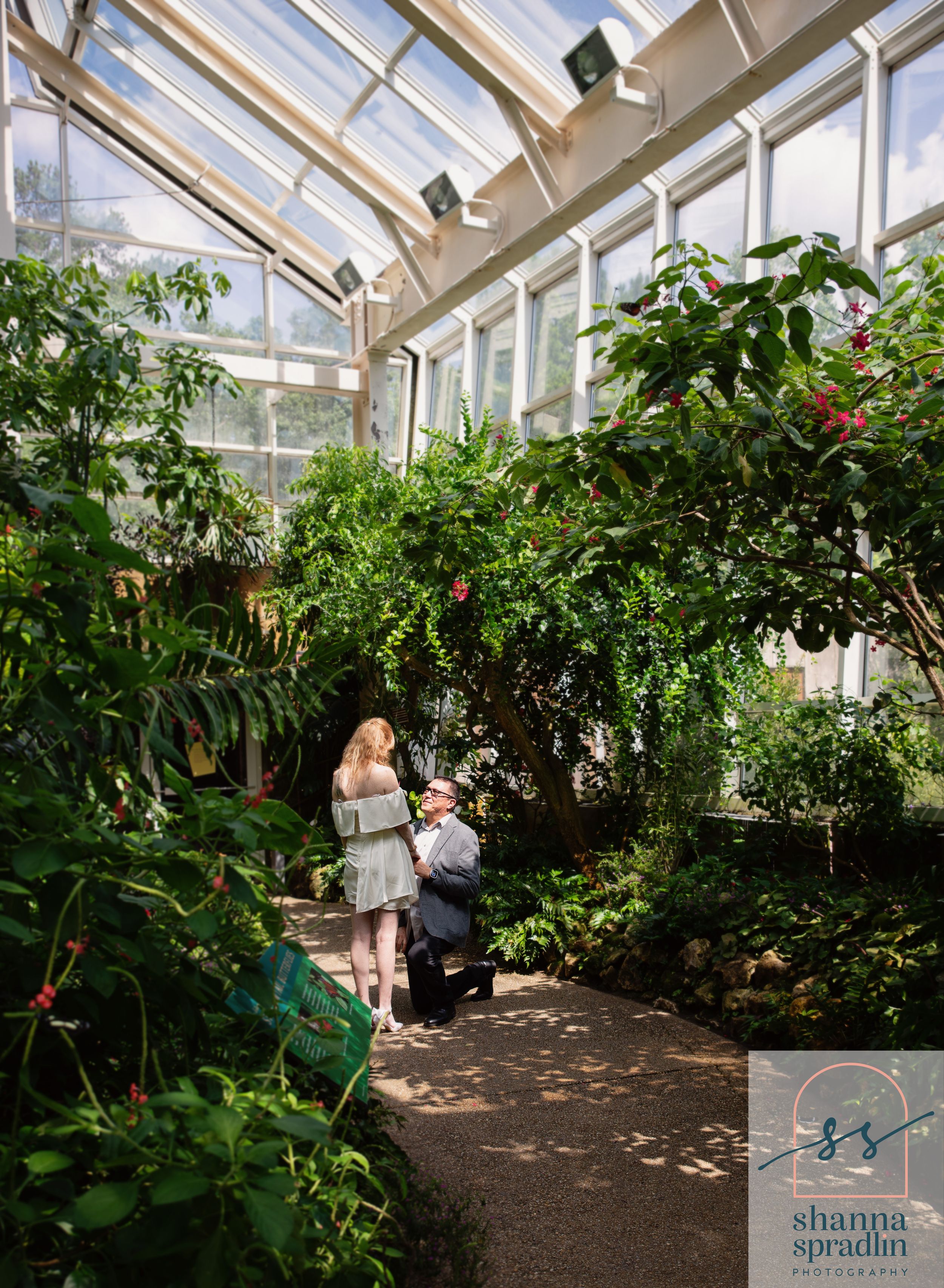 Engagement session at Durham Life of Science Butterfly Exhibit