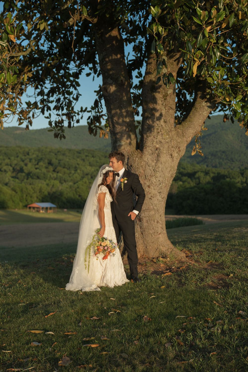Bride and groom share a romantic moment under a large tree with mountain views at golden hour.