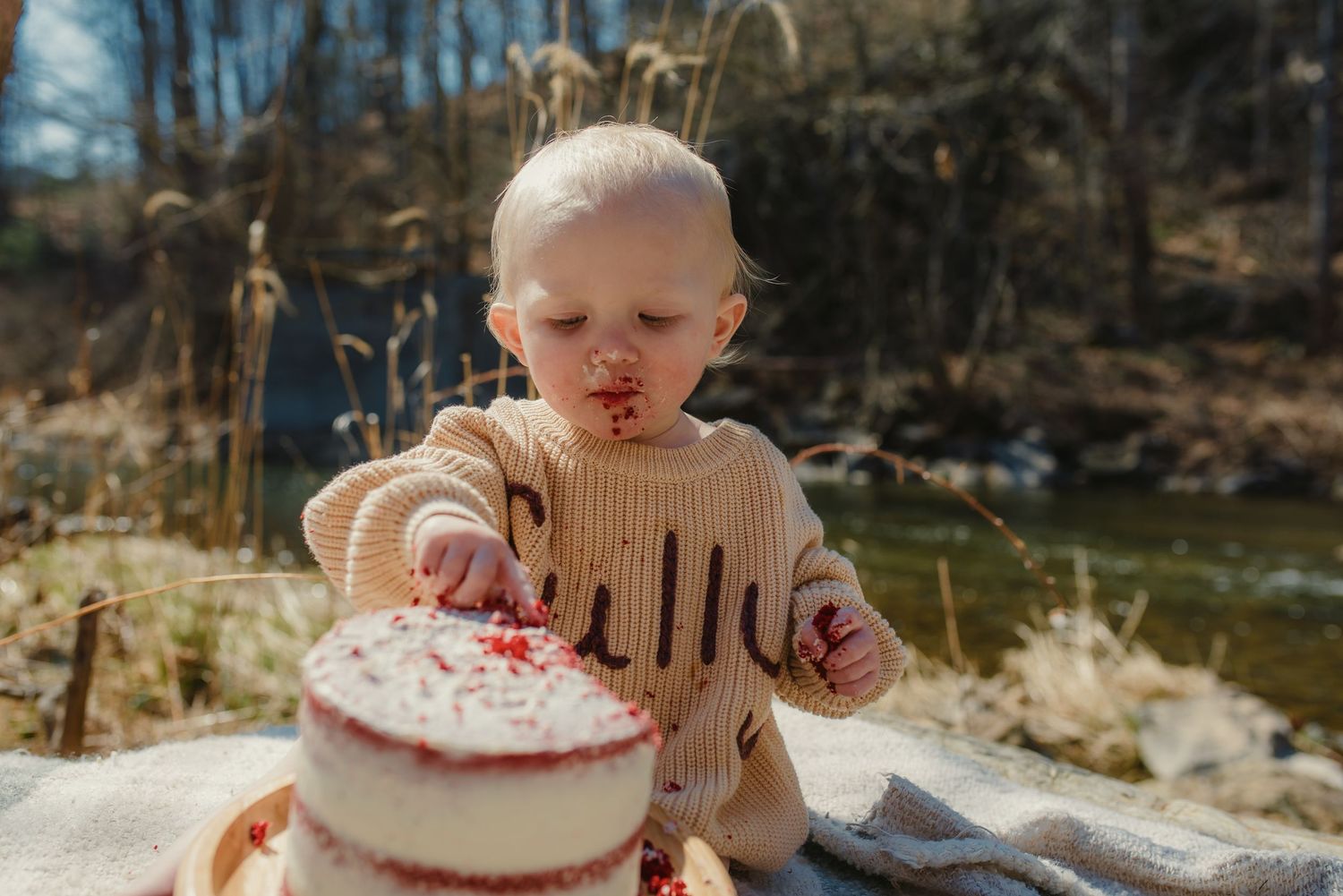 Birthday celebration with pink frosted cake in forest setting.