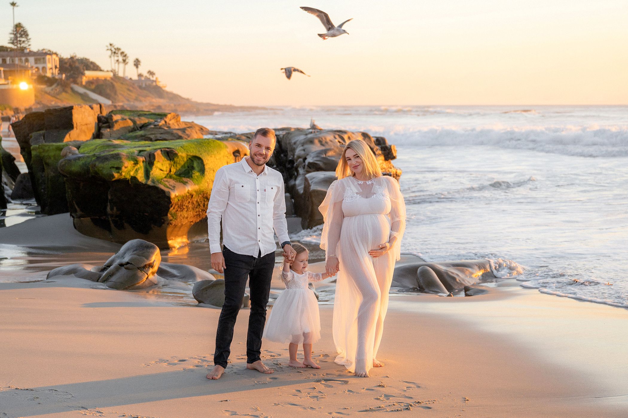 Family maternity photo on sandy beach at sunset with seagulls flying overhead.