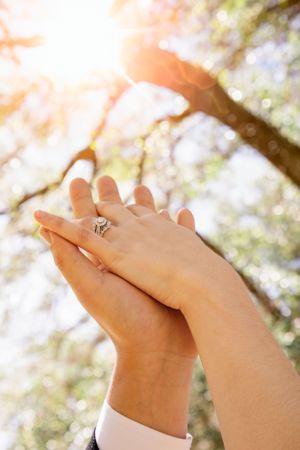 Close-up of hands with wedding rings against a sunlit outdoor background.