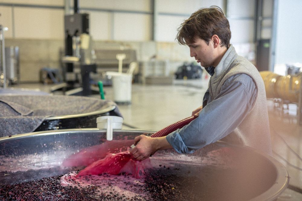 Worker processing wine in an industrial facility with stainless steel equipment.