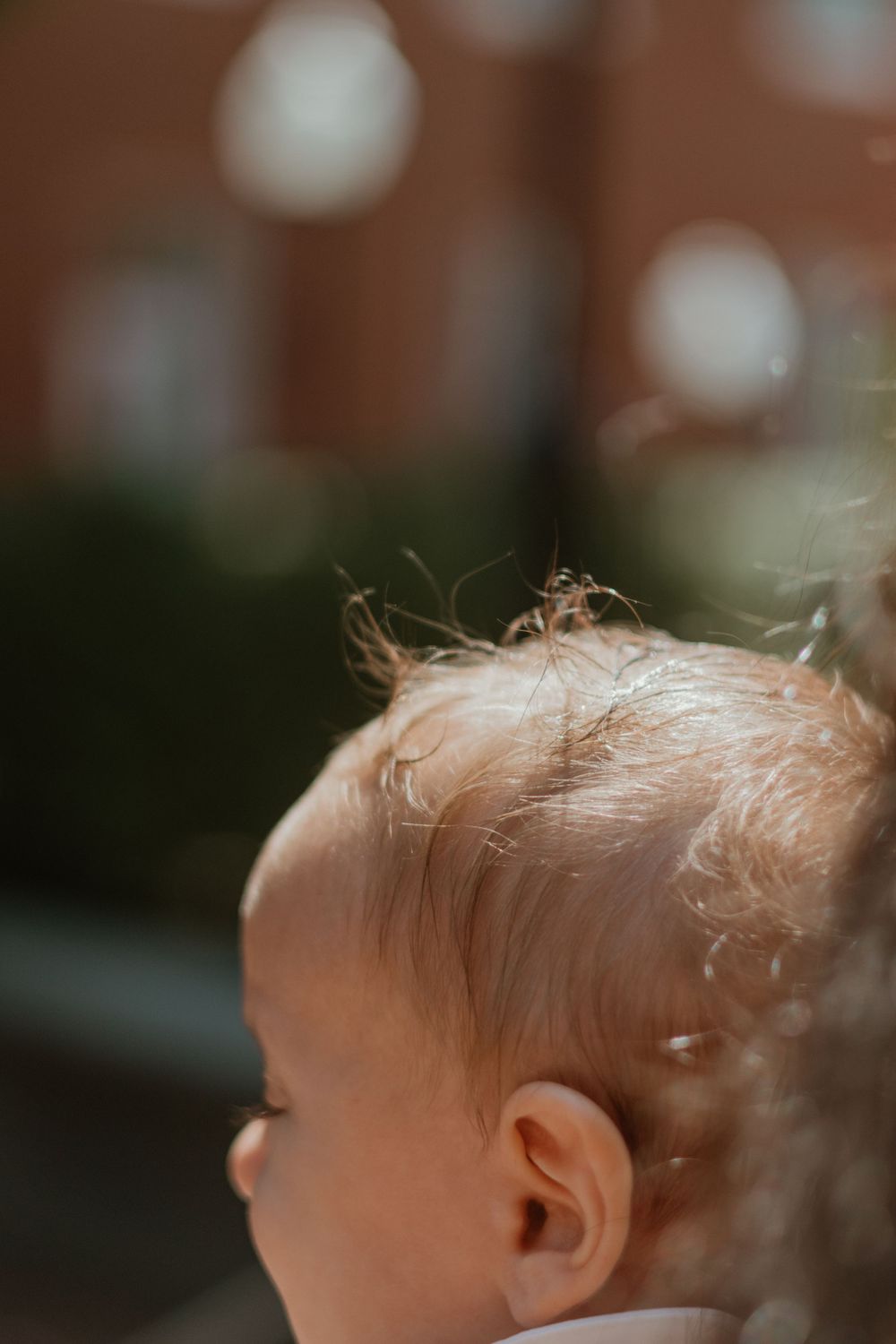 Close-up profile view of baby's head with wispy hair in natural lighting.