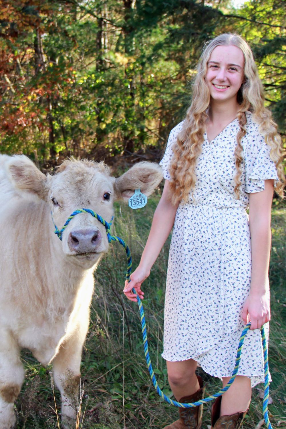 cow