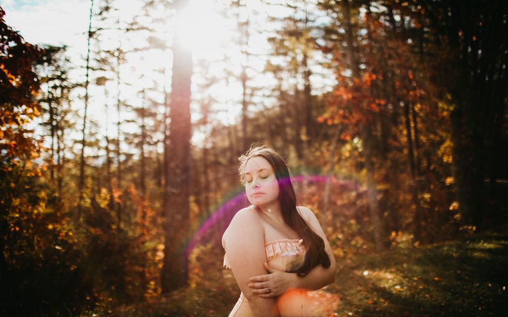 Dreamy autumn forest portrait with sunlight streaming through pine trees.