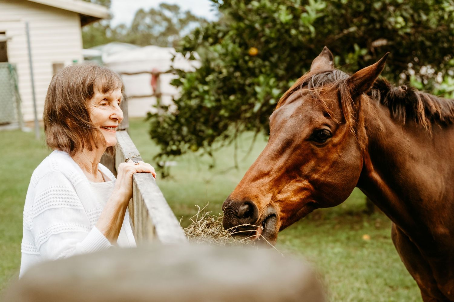 A brown horse reaches out to take treats in a sunny backyard garden setting.