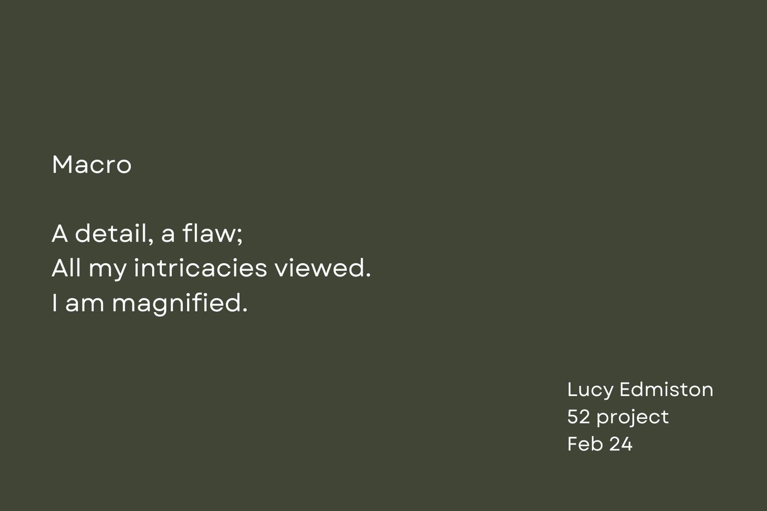 White text on dark green background showing a poem about magnification and intricate details.